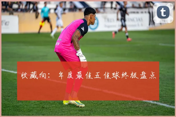 收藏向：年度最佳五佳球终极盘点
