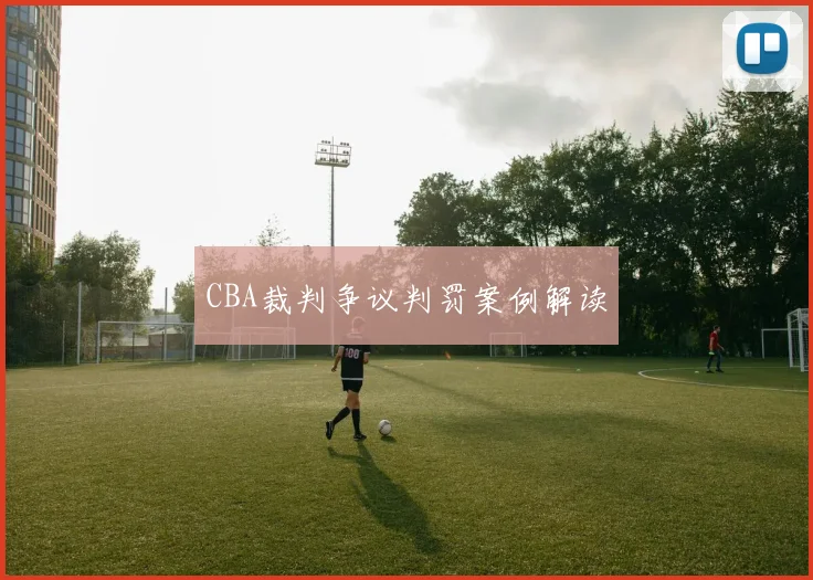 CBA裁判争议判罚案例解读