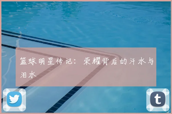 篮球明星传记：荣耀背后的汗水与泪水
